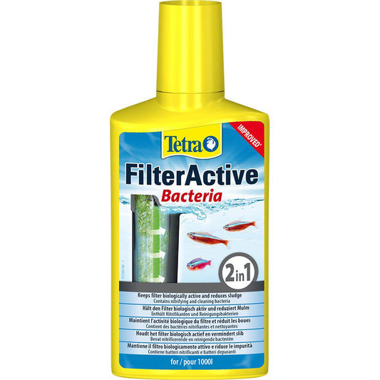 Tetra Filteractive